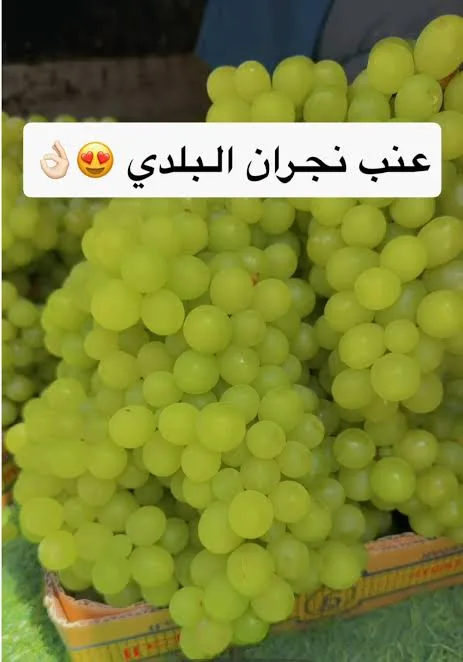 عنب طازج سعودي فاخر – حبات ممتلئة وطعم حلو - صورة 5
