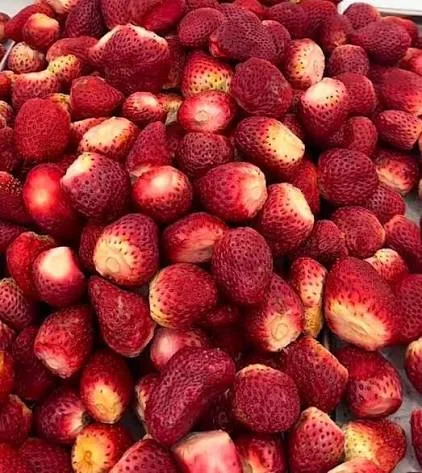 فراولة سعودية طازجة – حبات كبيرة وجودة ممتازة